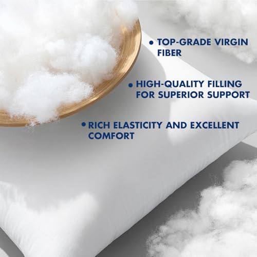 12x12 Inch Pillow Inserts Pack of 4 (12x12 Inch)