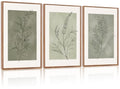 Sage Green Botanical Framed Canvas Wall Art Set (Minimalism Floral / 24"L x 36"W)