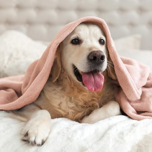 Fleece Blanket Soft Plush Throw for Couch Pink Morn 50"x60" (Pink Morn / Throw(50"x60"))