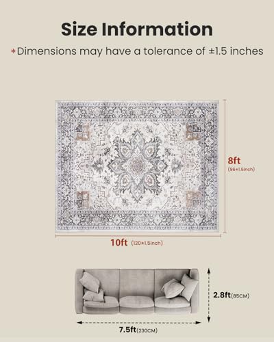 Amada Large 8x10 Washable Area Rug for Living Room (8' x 10' (Rectangular) / Taupe)