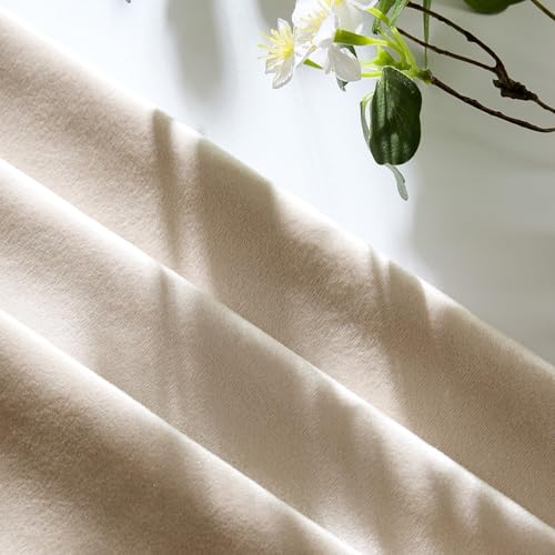 Velvet Pillow Covers 22x22 Decorative Pillows Pack of 2 Beige (Champagne / 22" x 22" (Pack of 2))