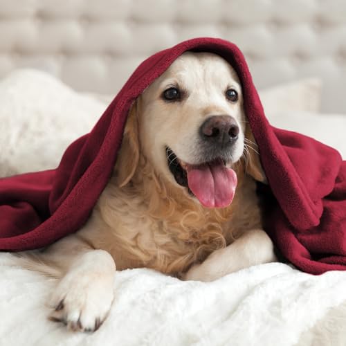 Fleece Blanket Soft Plush Twin Size Blanket Burgundy 60"x80" (Burgundy / Twin(60"x80"))