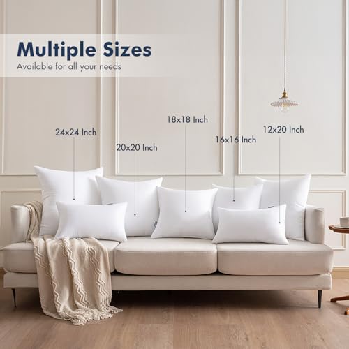 22x22 Throw Pillows Inserts 4 Pack (22x22 Inch)