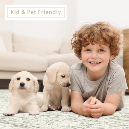 Washable Rugs 8x10 Area Rug for Living Room (8' x 10' (Rectangular) / Beige-green-grey)