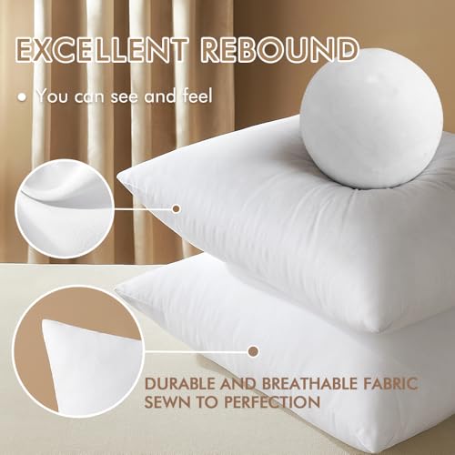 18x18 Pillow Inserts Set of 2 (18x18 Inch)