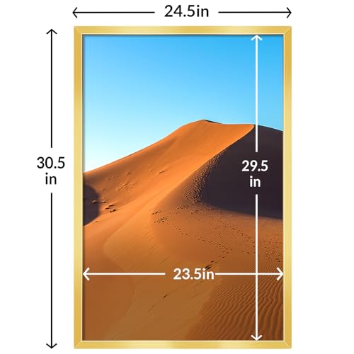 24x30 Picture Frame for Wall Display (Gold / 24x30)