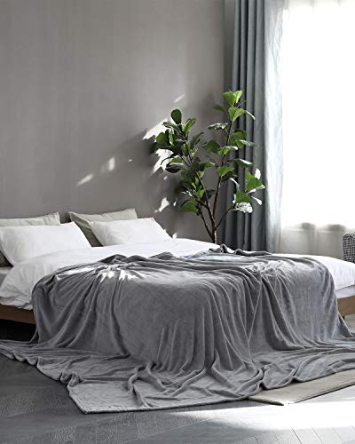 Fleece Blanket King Size Grey Lightweight Super Soft Cozy Luxury Bed Blanket Microfiber (Grey / King(108"x90"))