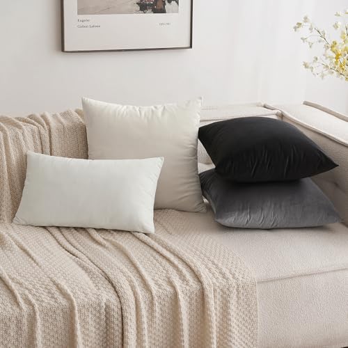 12x20 Inch Lumbar Velvet Throw Pillow Covers Cream White (20" x 12" (Pack of 2) / Cream White)