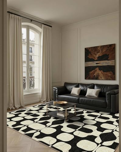 Washable 5x7 Area Rugs for Living Room Modern Rug (Black Beige / 5' x 7' (Rectangular))