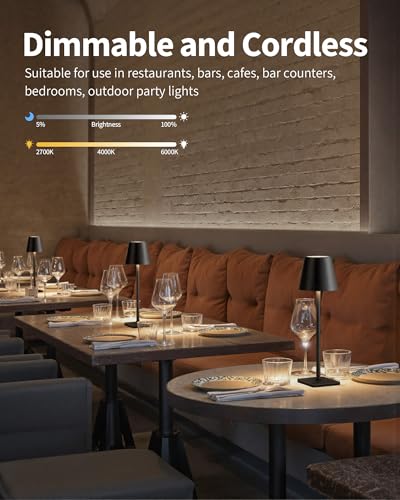 2 Pack Cordless Black Table Lamps (Black-2)
