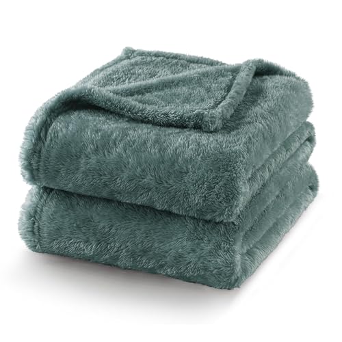 Fuzzy Plush Fleece Bed Blanket King Size (Celadon / 104x90 IN)