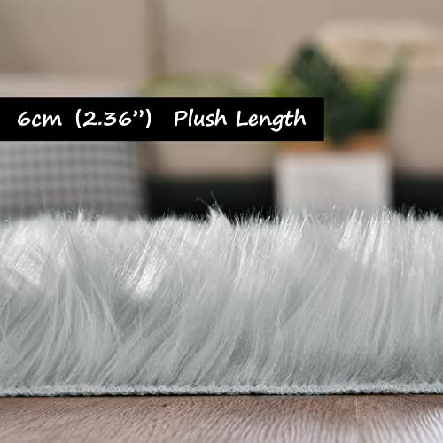 Grey Fluffy Fuzzy Rug for Bedroom Dorm 3x5 Gray Furry Faux Fur Shaggy Carpet Living Room Sheepskin Soft Plush Rectangle (3' x 5' (Rectangular) / Grey)