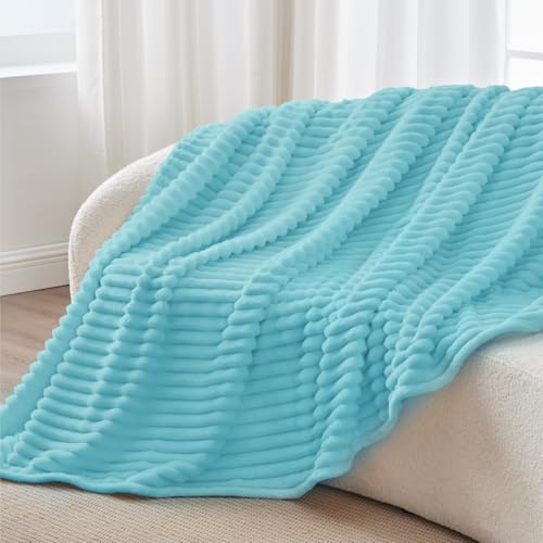 Ribbed Twin Blanket for Couch & Bed (Sky Blue / Twin(60"x80"))