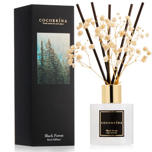 Reed Diffuser (3.38 fl oz)