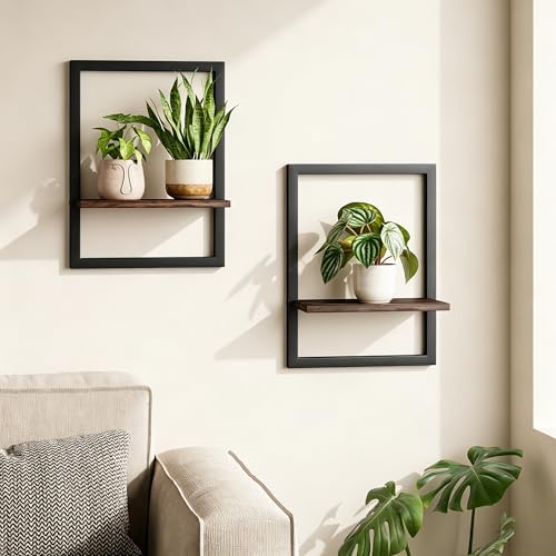 Wall Plant Holder Hanging Planters for Indoor Plants Frames Decor