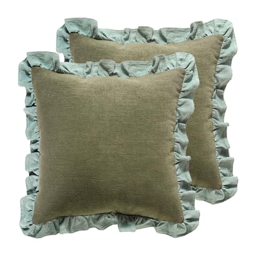Vintage Green Linen Throw Pillow Covers (Coomburg Green / 22" x 22" (Pack of 2))