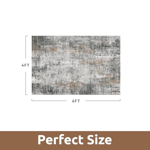4 x 6 Area Rugs for Living Room (Grey / 4' x 6')