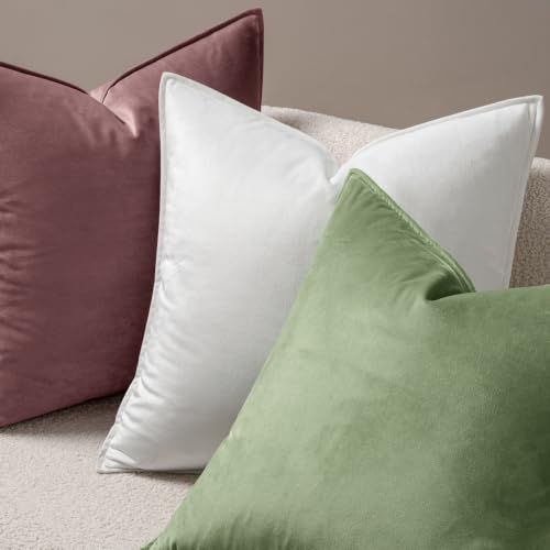 Decorative Jam Velvet Throw Pillow Covers for Couch 20x20 Inch (20" x 20" (Pack of 2) / Jam)