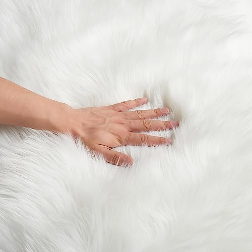 Ultra Soft Fluffy Shaggy Area Rug Faux Fur Rug Chair Cover Seat Pad Fuzzy Area Rug for Bedroom Floor Sofa Living Room (White / 2' x 3' (Sheepskin))