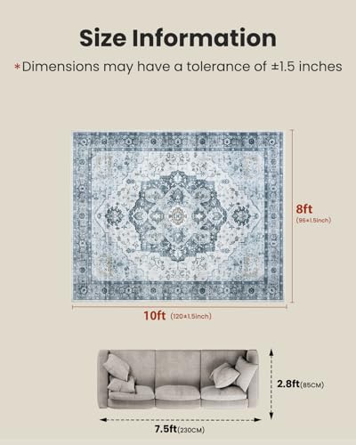 Amada Large 8x10 Washable Area Rug for Living Room (8' x 10' (Rectangular) / Ivory/Blue)