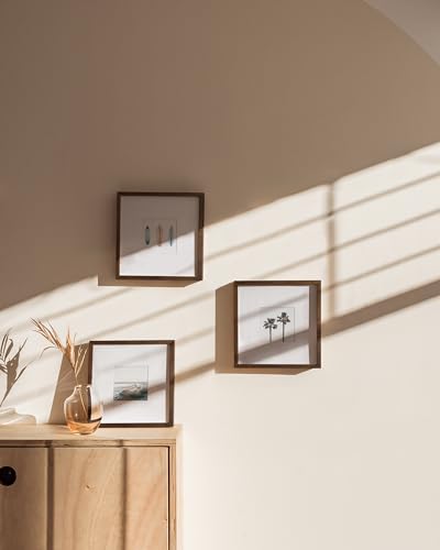 Walnut Square Frames 8" x 8" Matted to 4" x 4" (Set of 03 / Walnut Oak / 8x8 in)