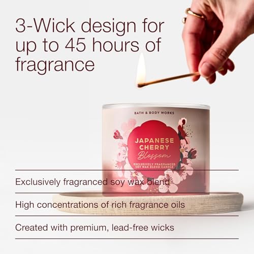 3 Wick Candle (14.5 Oz (Pack of 1))