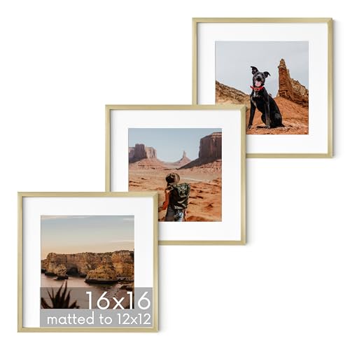 16x16 Gold Metal Picture Frames Matted to 12x12 (Set of 03 / Gold Metal / 16x16 in)