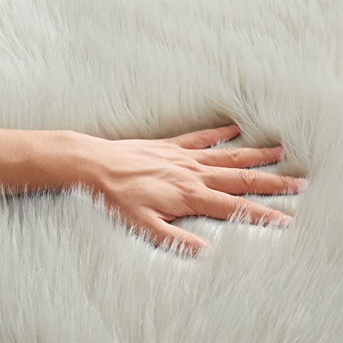 Ultra Soft Fluffy Shaggy Area Rug Faux Fur Rug Chair Cover Seat Pad Fuzzy Area Rug for Bedroom Floor Sofa Living Room (Light Grey / 4' x 6' (Rectangular))
