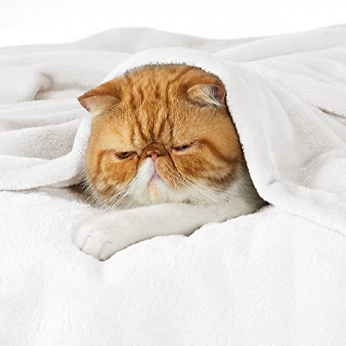 GentleSoft Fleece Throw XL Blanket White (04 - White / Throw XL (50" X 70"))