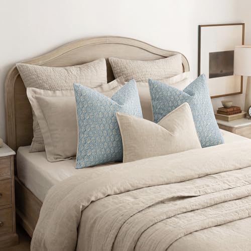 Decorative Floral Print Throw Pillow Covers 20×20 Inch (20" x 20" (Pack of 2) / Sky Blue)