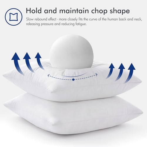 26x26 Euro Pillow Inserts (26x26 Inch)