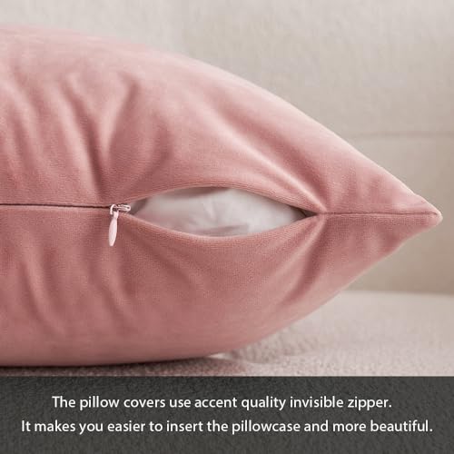 12x20 Inch Lumbar Velvet Throw Pillow Covers Dusty Pink (20" x 12" (Pack of 2) / Dusty Pink)
