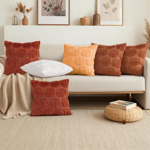 Fall Pumpkin Faux Fur Throw Pillow Covers 20x20 Set of 2 (Pumpkin / 20" x 20" (Pack of 2))