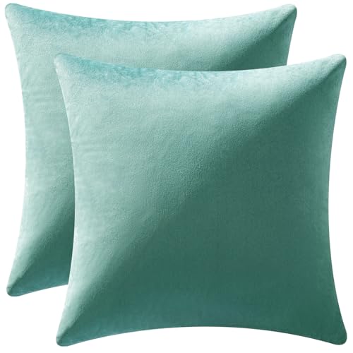 26x26 Inch Pack of 2 Euro Velvet Throw Pillow Covers Aqua Green (26" x 26" (Pack of 2) / Aqua Green)