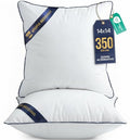 14x14 Throw Pillow Inserts (14x14 Inch)