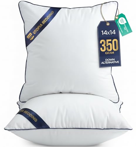 14x14 Throw Pillow Inserts (14x14 Inch)