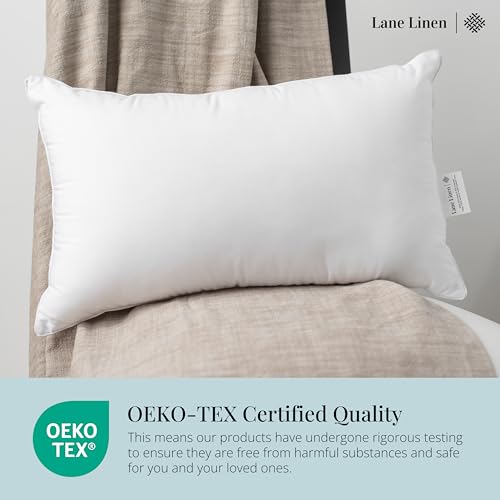 Decorative Pillow Inserts 12x20 4 (12x20 / 01: White)