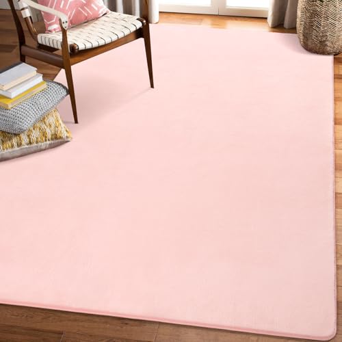 Modern Area Rugs for Bedroom Living Room (4' x 6' (Rectangular) / Pink)