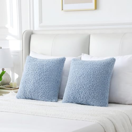 Pack of 2 Faux Fur Teddy Boucle Pillow Covers 20x20 Inch (Light Blue / 20" x 20" (Pack of 2))