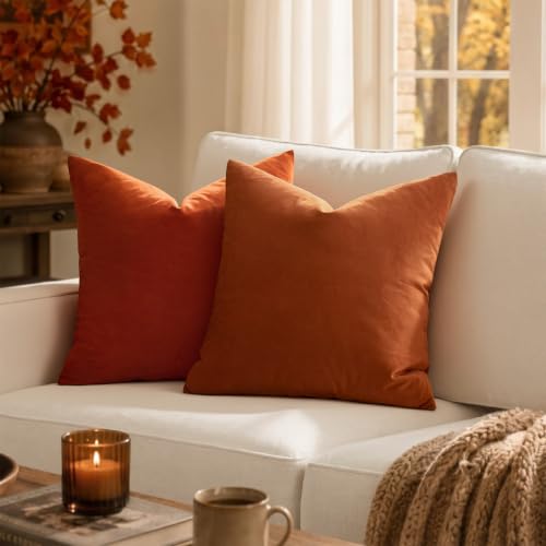 Velvet Fall Throw Pillow Covers 18x18 Inch Pack of 2 Rust (18" x 18" (Pack of 2) / Rust)