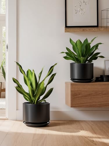 10 inch Plant Pot (Black / 10")