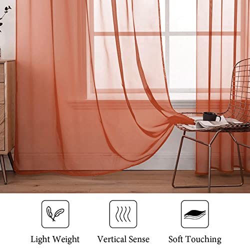 Fall Burnt Orange Sheer Curtains 54 X 72 Inches (Burnt Orange / 54"W x 72"L (Pack of 2))