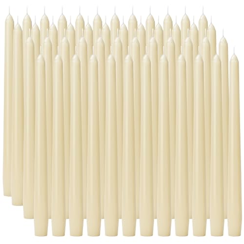 10 Inch Ivory Taper Candles (48-Ivory / 48Pcs)