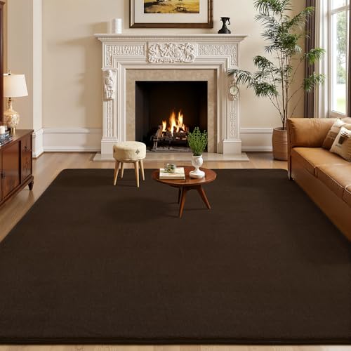 Large Area Rugs for Bedroom Living Room (6' x 9' (Rectangular) / Brown)