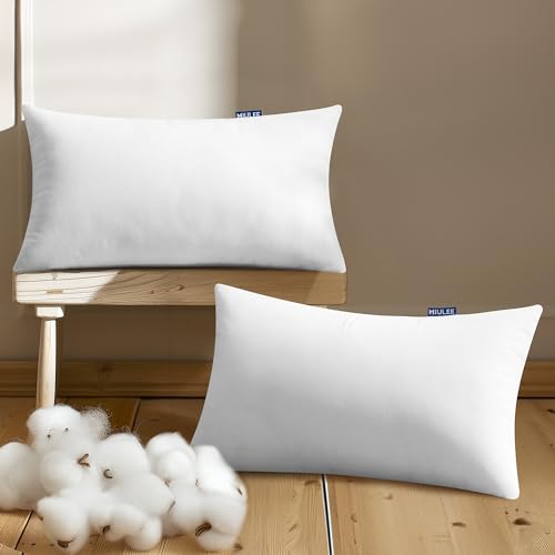 Pillow Insert 12x20 Inch Set of 2 Decorative Throw Pillow Inserts (12x20 Inch)
