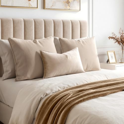Decorative Champagne Velvet Throw Pillow Covers for Couch 20x20 Inch (20" x 20" (Pack of 2) / Champagne)