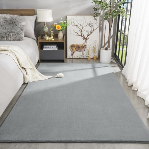 Large Modern Area Rugs for Bedroom Living Room (6' x 9' (Rectangular) / Grey)