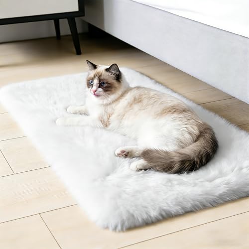 2x3 Area Rugs for Bedroom (White / 2' x 3' (Rectangular))