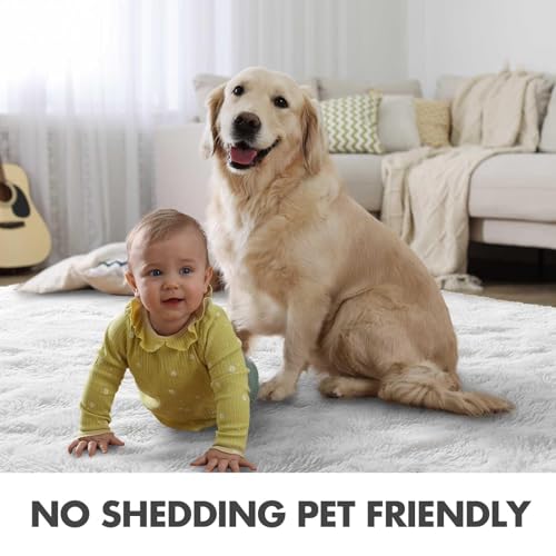 Area Rugs for Living Room (Ef White / 6' X 9' (Rectangular))