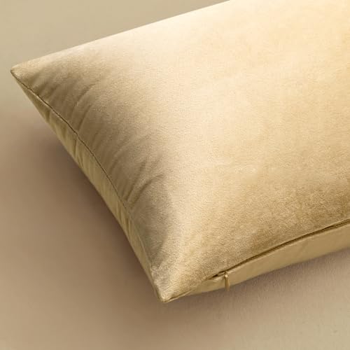 24x24 Inch Pack of 2 Euro Velvet Throw Pillow Covers Beige (24" x 24" (Pack of 2) / Beige)